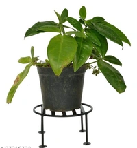   Circle Iron  Pots& Planter Stand It will give any place a splendid look and a dash of style Pack  of 4 -  Round